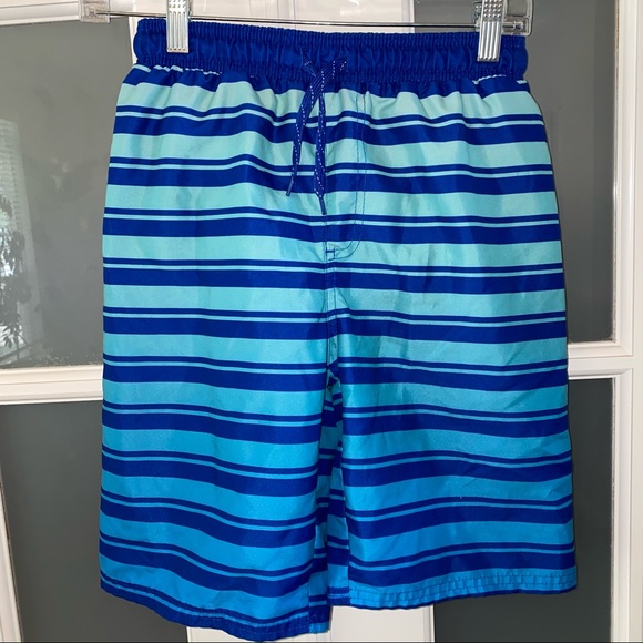 EUC Boys Size Large, Sea-Life Co. Blue Ombre & Stripes & Mesh Liner Swim Trunks - Picture 2 of 9